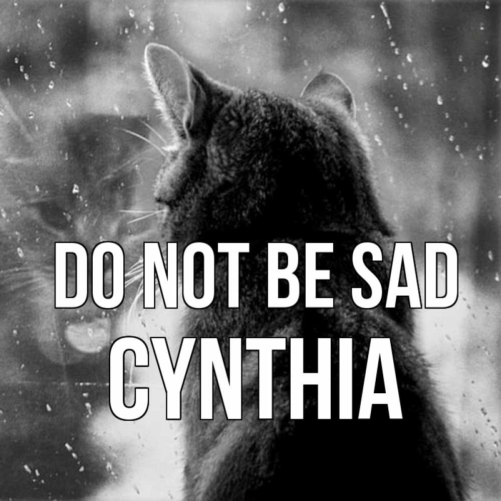Greetings card с именем, Cynthia Do not be sad отражение кота 1 Greetings with text for free download 