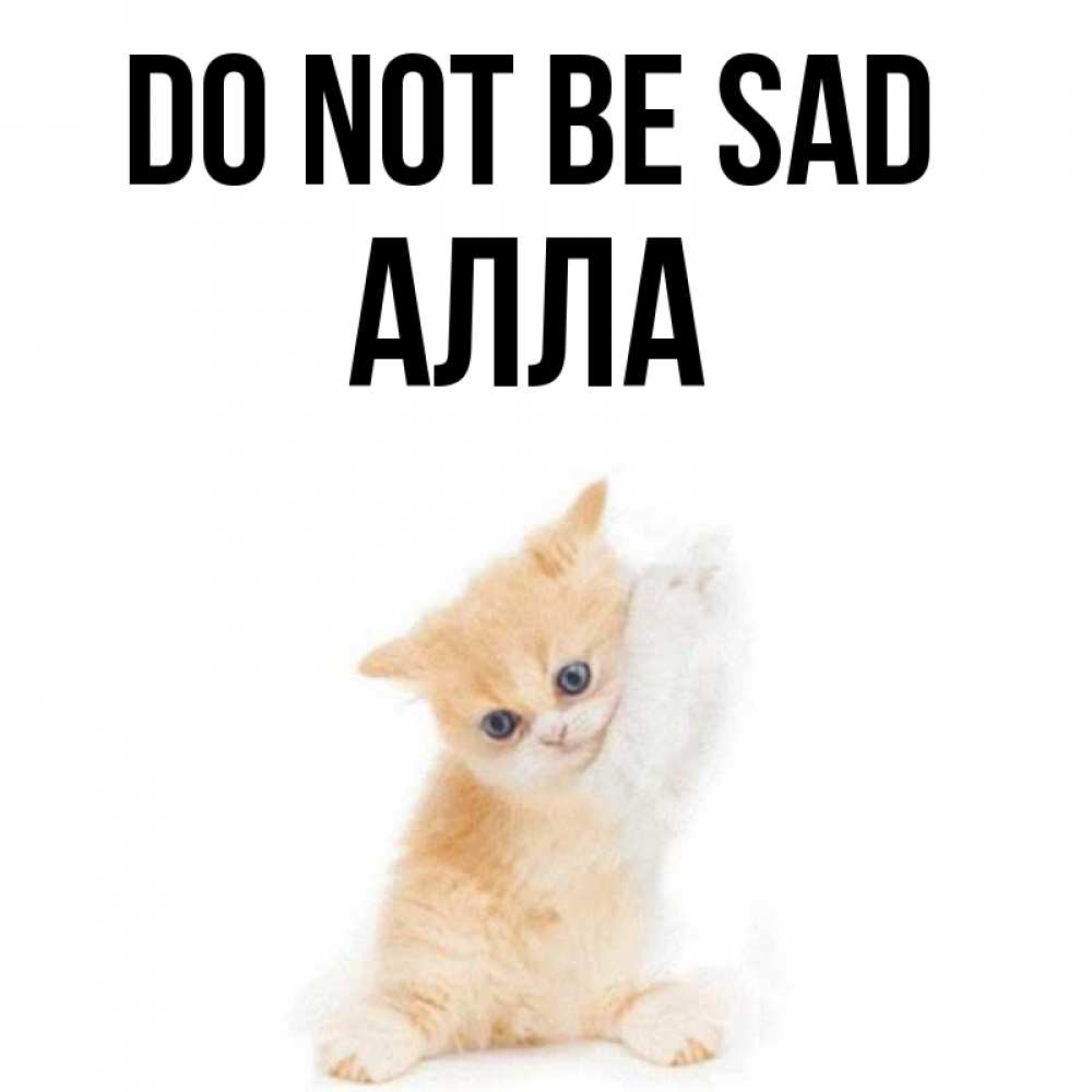 Greetings card с именем, Алла Do not be sad просящий кот Greetings with text for free download 