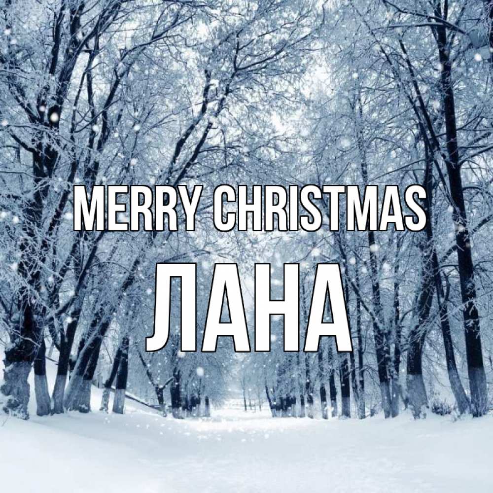 Greetings card с именем, Лана Merry Christmas снег, лес, парк Greetings with text for free download 