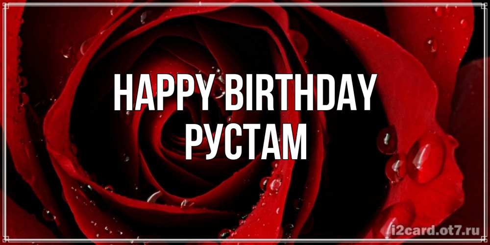 Greetings card с именем, Рустам Happy Birthday крупная бордовая роза Greetings with text for free download 