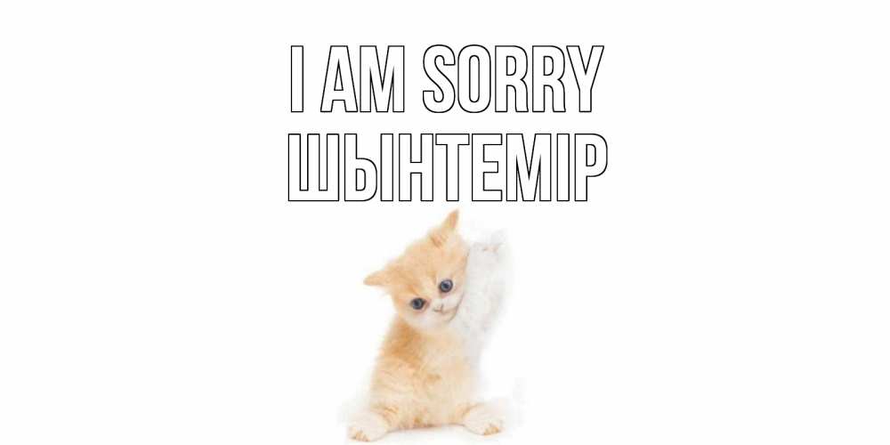 Greetings card с именем, ШЫНТЕМІР I am sorry кот Greetings with text for free download 