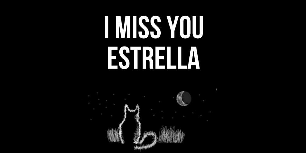 Greetings card с именем, Estrella I miss you кот Greetings with text for free download 