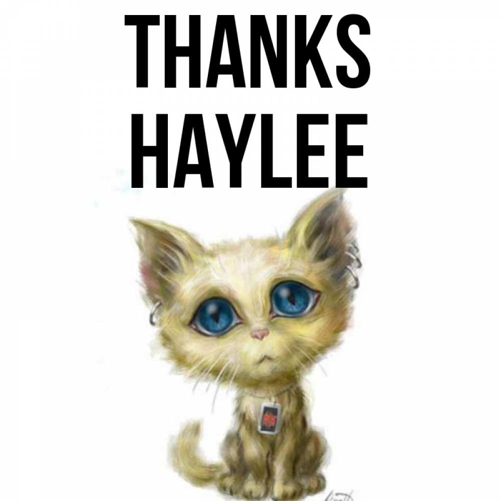 Greetings card с именем, Haylee Thanks рисованный кот благодарит вас Greetings with text for free download 