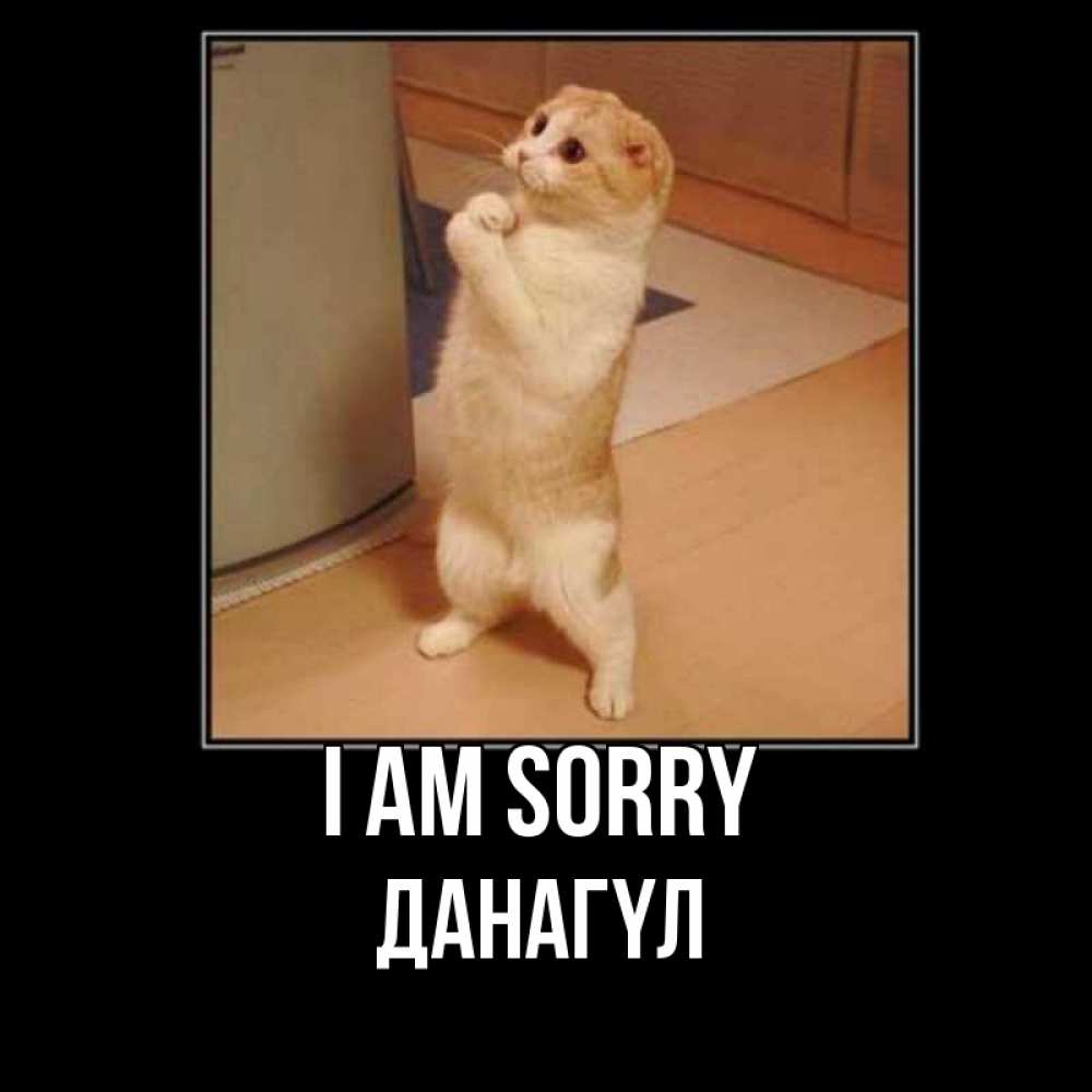 Greetings card с именем, ДАНАГҮЛ I am sorry открытка с милым несчастным котиком просящим прощения Greetings with text for free download 