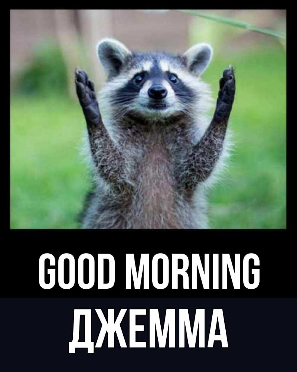 Greetings card с именем, Джемма Good morning хорошее настроение утречком Greetings with text for free download 