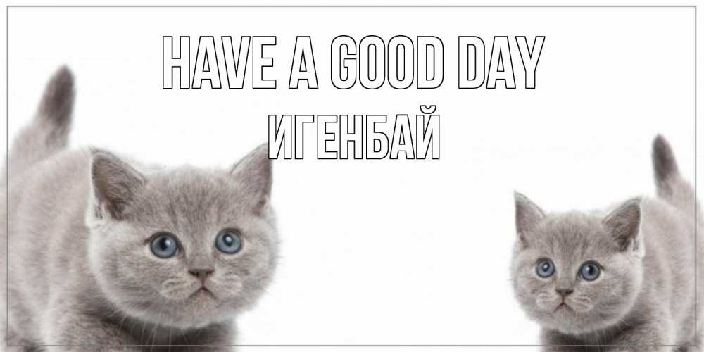 Greetings card с именем, Игенбай Have a good day открытка с котами Greetings with text for free download 