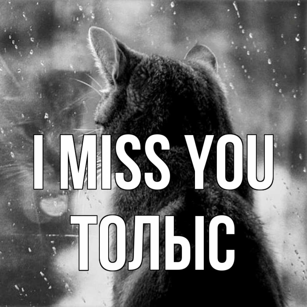 Greetings card с именем, ТОЛЫС I miss you скорее ко мне приходи 1 Greetings with text for free download 