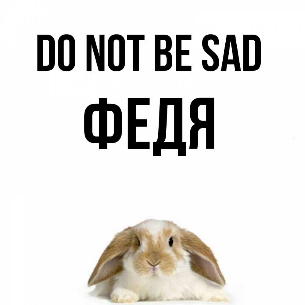 Greetings card с именем, Федя Do not be sad коричнево белый заяц с большими ушками Greetings with text for free download 