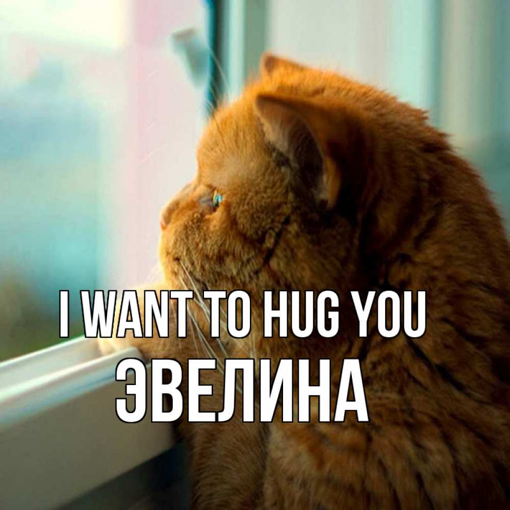 Greetings card с именем, Эвелина I want to hug you большой огромный рыжий котяра Greetings with text for free download 