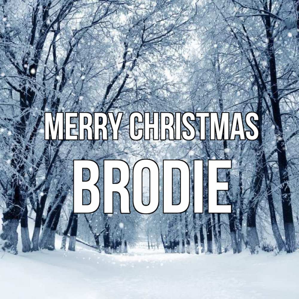 Greetings card с именем, Brodie Merry Christmas снег, лес, парк Greetings with text for free download 