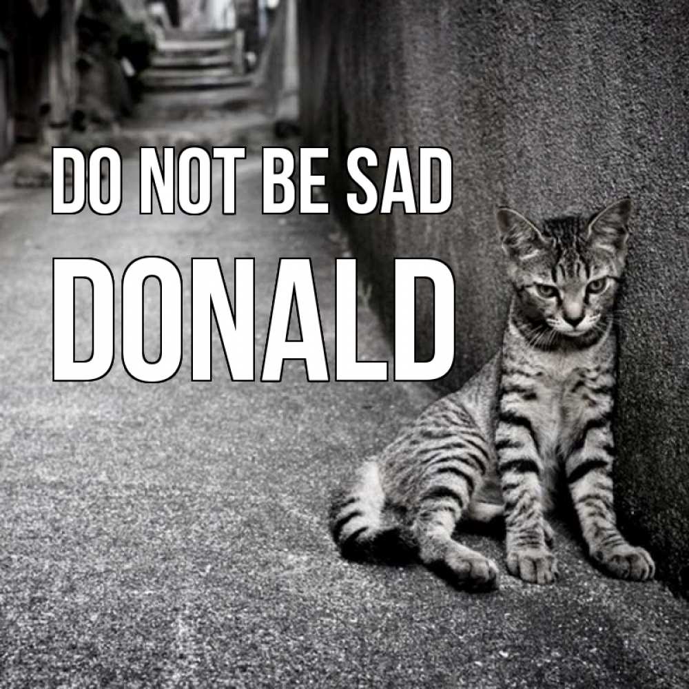 Greetings card с именем, Donald Do not be sad скучающий котик Greetings with text for free download 
