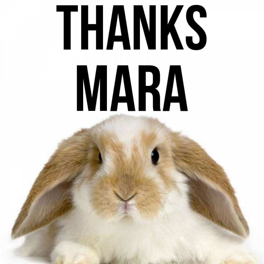 Greetings card с именем, Mara Thanks коричнево белый заяц Greetings with text for free download 