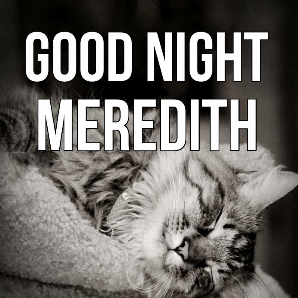 Greetings card с именем, Meredith Good night котярик пушистый Greetings with text for free download 