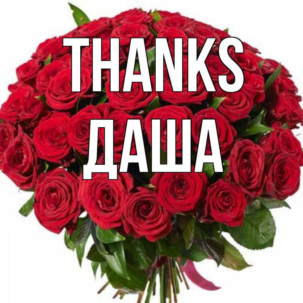 Greetings card с именем, Даша Thanks букет красных роз Greetings with text for free download 