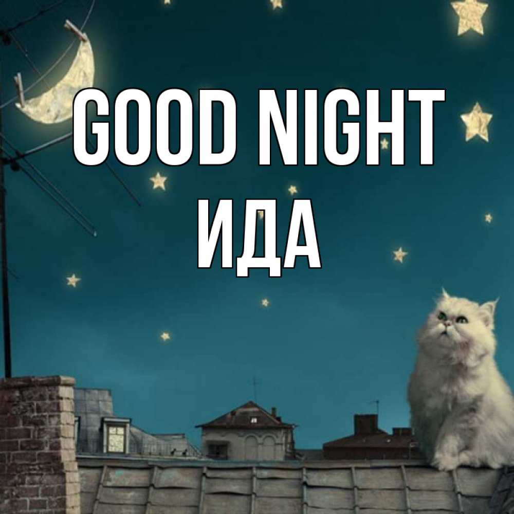 Greetings card с именем, Ида Good night белый кот сидит на крыше Greetings with text for free download 