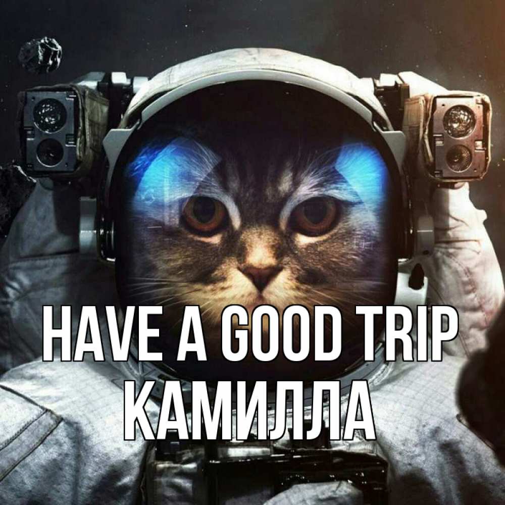 Greetings card с именем, Камилла Have a good trip желает удачно добраться Greetings with text for free download 