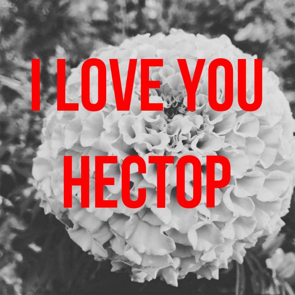 Greetings card с именем, Нестор I love you подпись Greetings with text for free download 