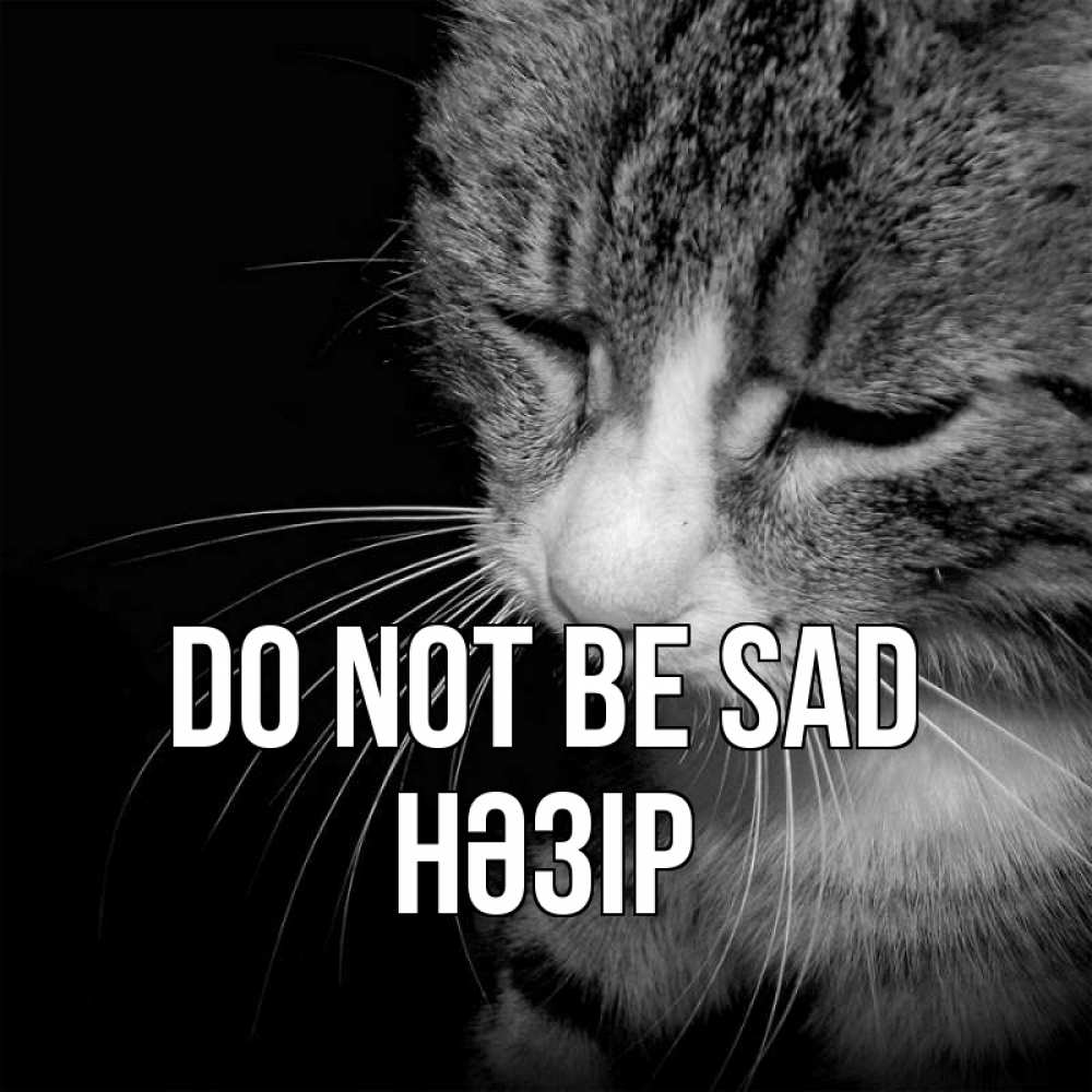 Greetings card с именем, НӘЗІР Do not be sad грустный котик Greetings with text for free download 