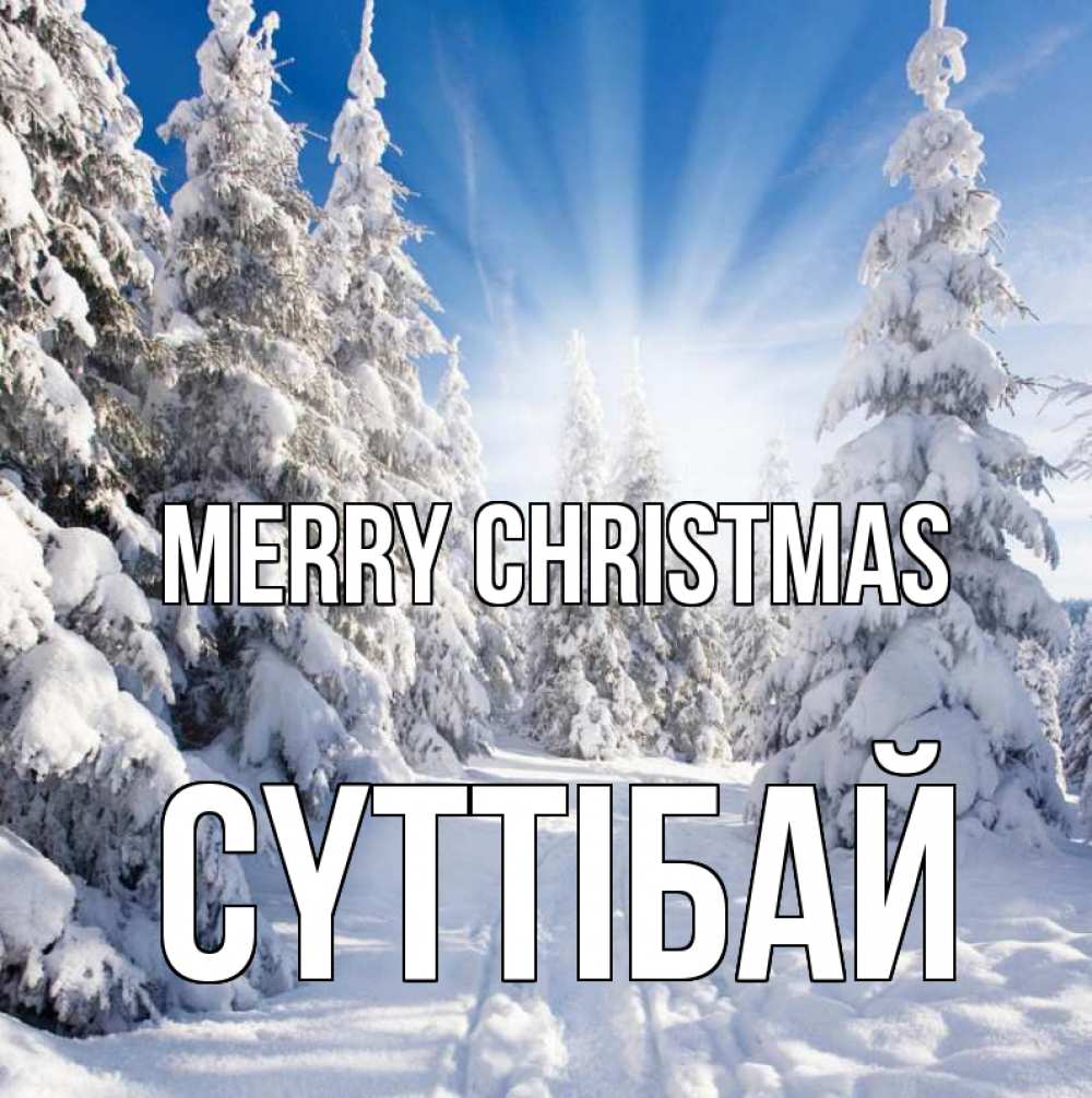 Greetings card с именем, СҮТТІБАЙ Merry Christmas зима, лес Greetings with text for free download 