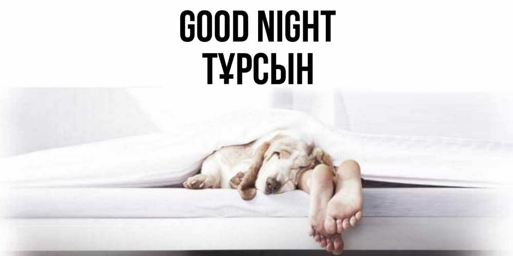 Greetings card с именем, ТҰРСЫН Good night кровать с собакой пожелание сладких снов и спокойной ночи Greetings with text for free download 