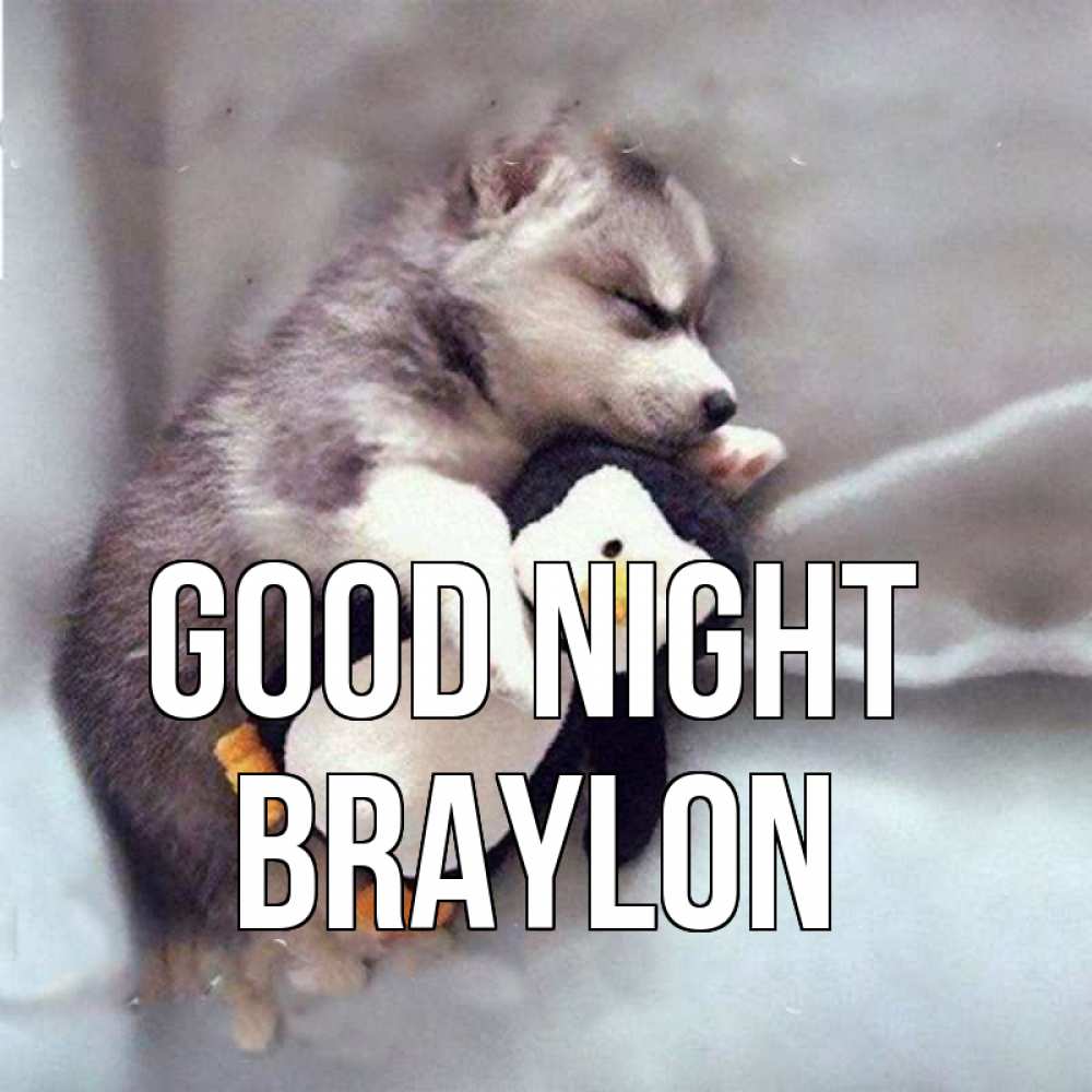 Greetings card с именем, Braylon Good night обнимашки щенка и пингвина Greetings with text for free download 