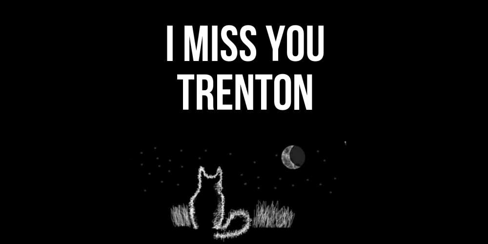 Greetings card с именем, Trenton I miss you кот Greetings with text for free download 