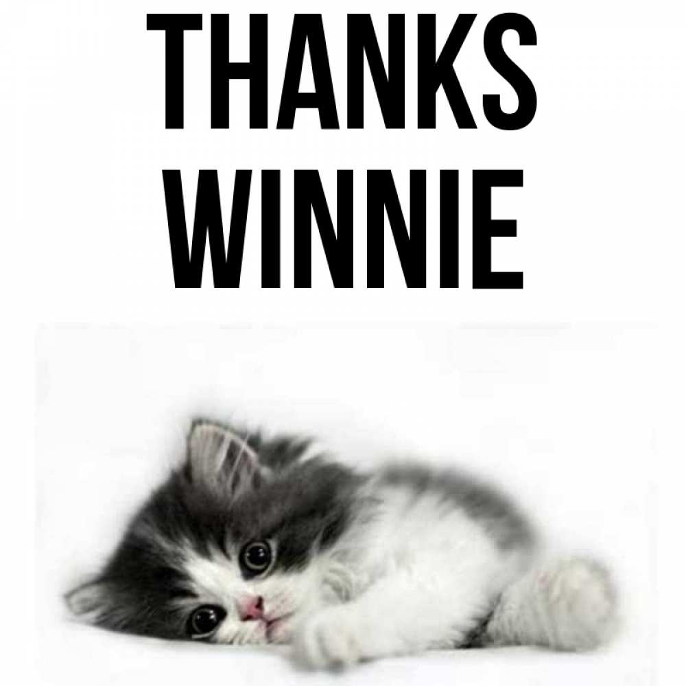 Greetings card с именем, Winnie Thanks черный и белый кот Greetings with text for free download 