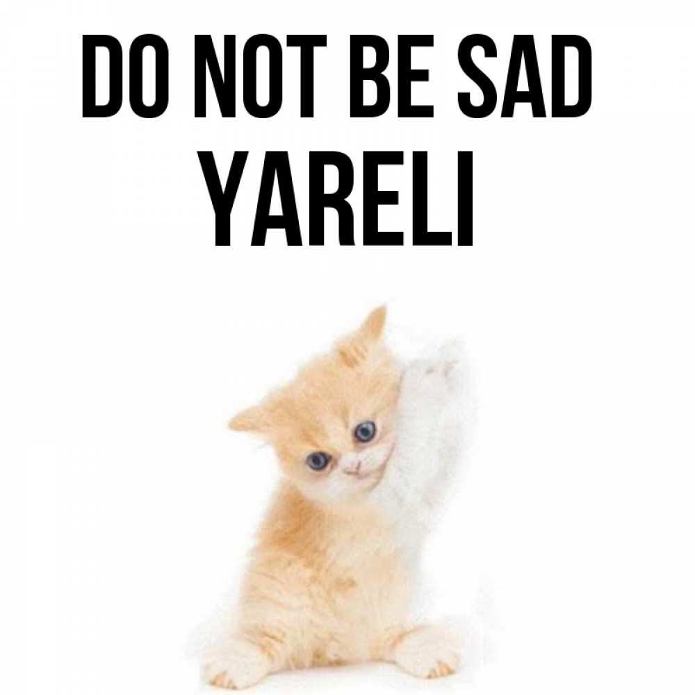 Greetings card с именем, Yareli Do not be sad просящий кот Greetings with text for free download 