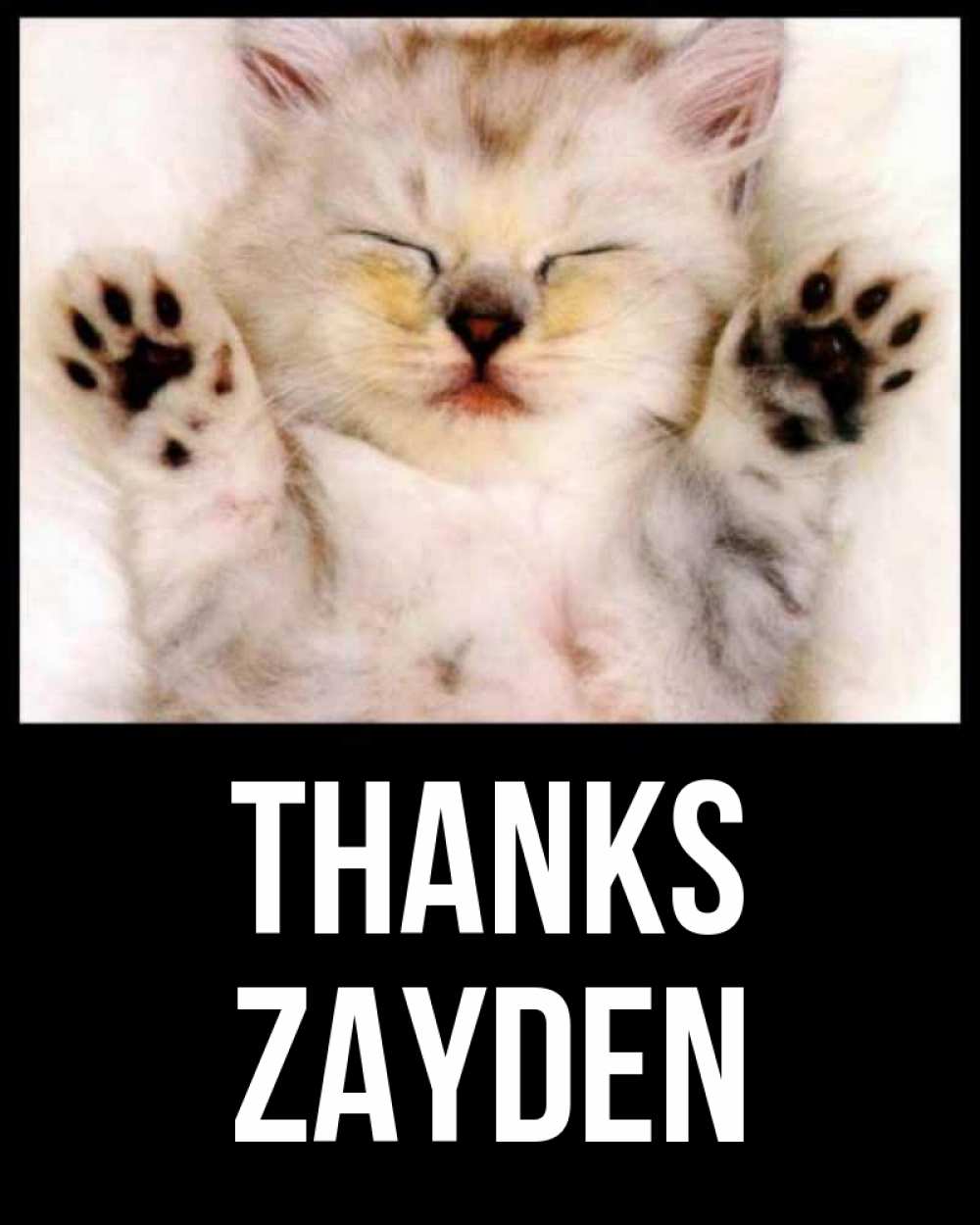 Greetings card с именем, Zayden Thanks маленький котенок Greetings with text for free download 