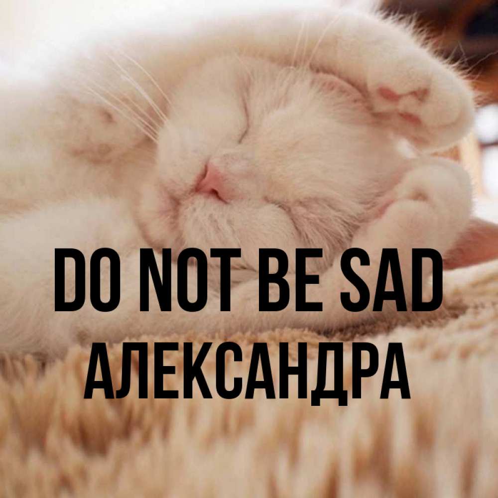 Greetings card с именем, Александра Do not be sad Котенок спит Greetings with text for free download 
