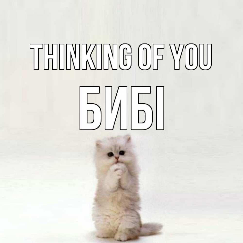 Greetings card с именем, БИБІ Thinking of you кот стоит на задних лапах Greetings with text for free download 