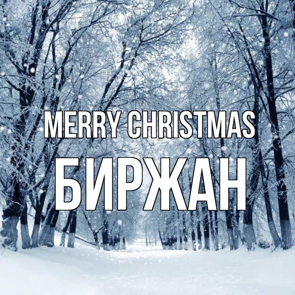 Greetings card с именем, Биржан Merry Christmas снег, лес, парк Greetings with text for free download 