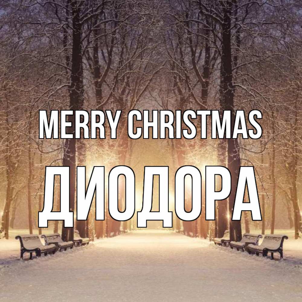 Greetings card с именем, Диодора Merry Christmas зима, парк, фонарь, лес Greetings with text for free download 