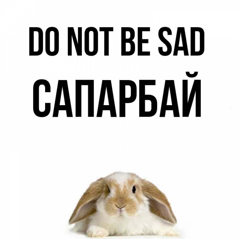 Greetings card с именем, САПАРБАЙ Do not be sad коричнево белый заяц с большими ушками Greetings with text for free download 