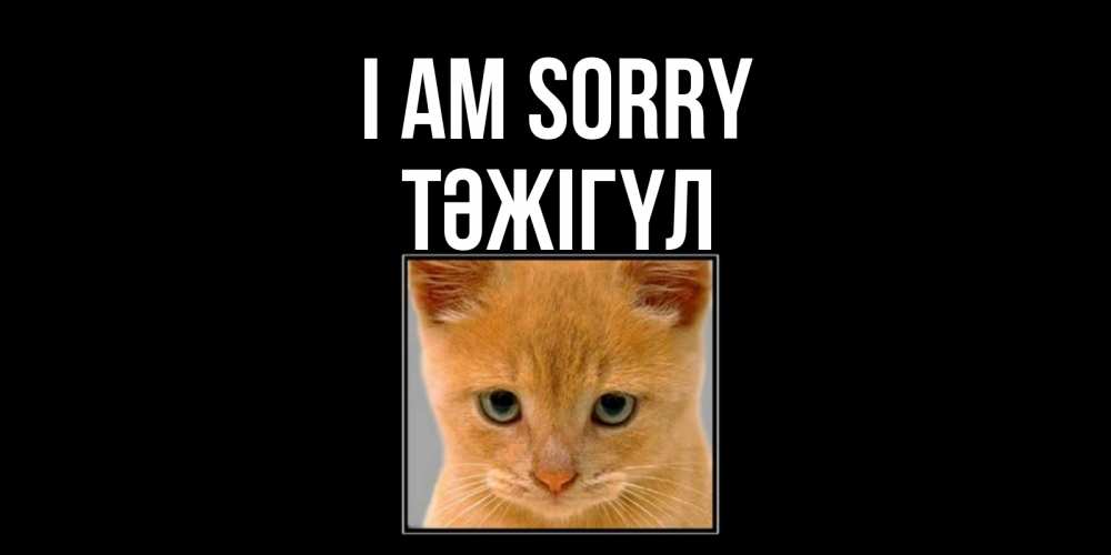 Greetings card с именем, ТӘЖІГҮЛ I am sorry рыжий грустный кот просит прощения Greetings with text for free download 