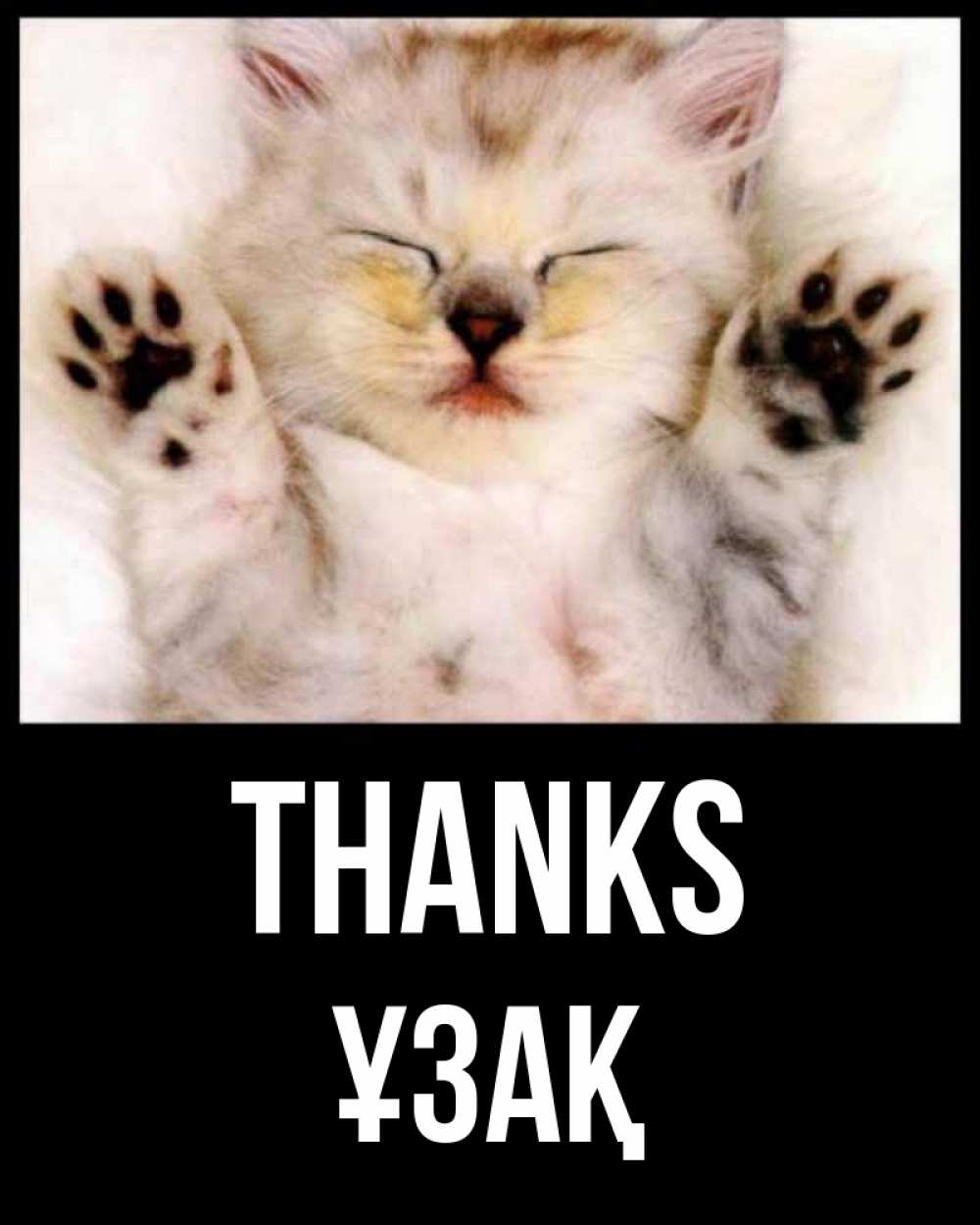 Greetings card с именем, ҰЗАҚ Thanks маленький котенок Greetings with text for free download 
