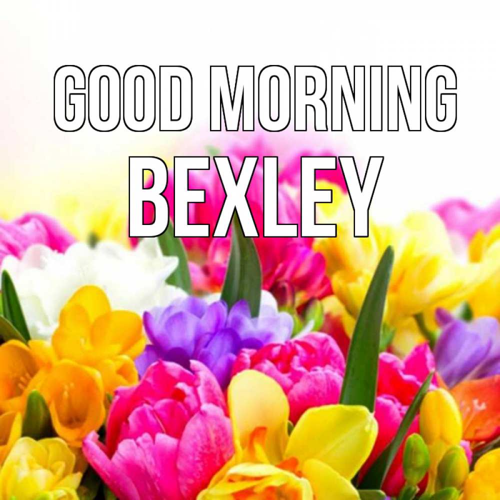 Greetings card с именем, Bexley Good morning создать открытку со свое подписью Greetings with text for free download 