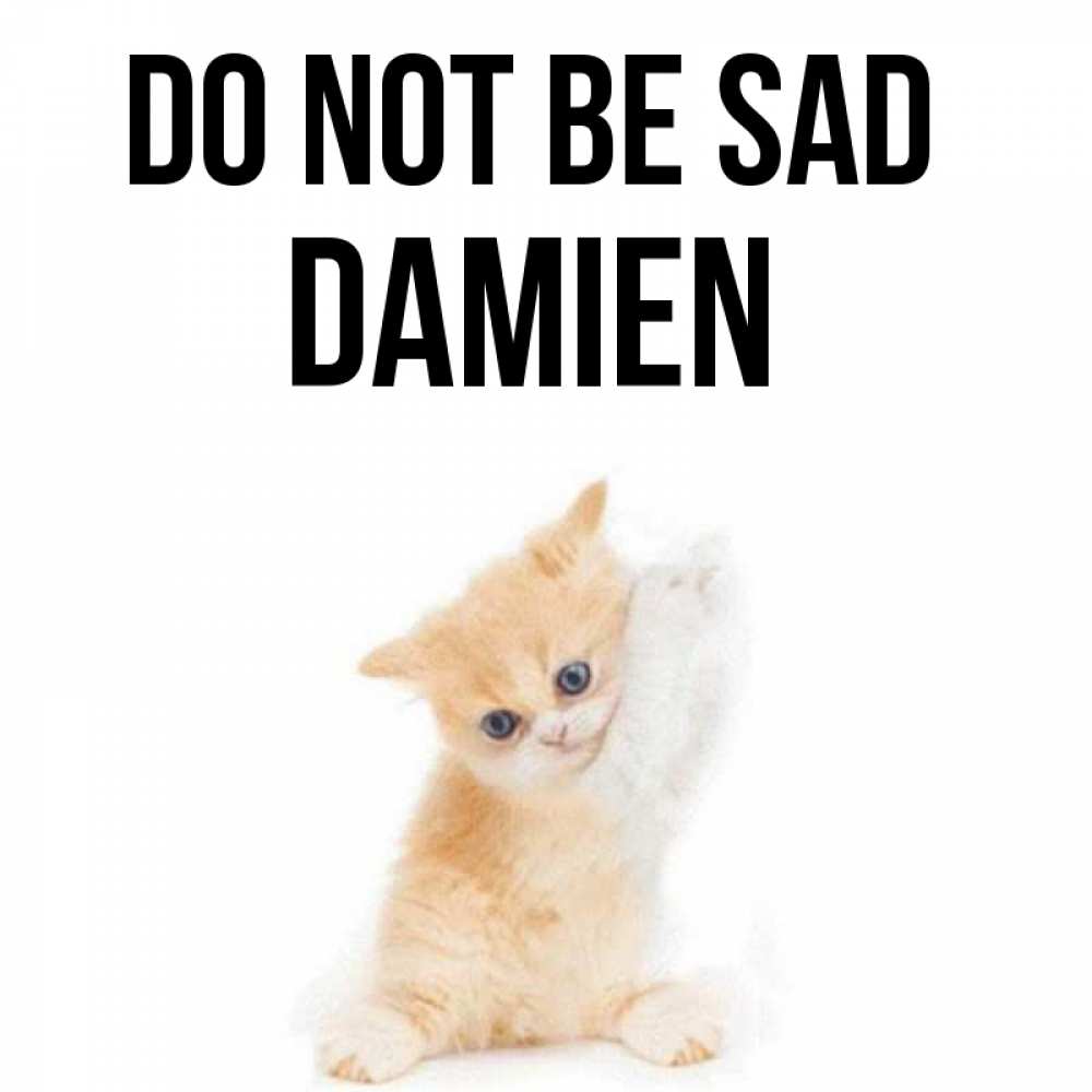 Greetings card с именем, Damien Do not be sad просящий кот Greetings with text for free download 