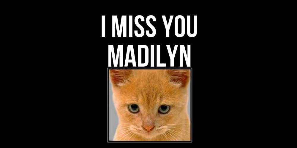 Greetings card с именем, Madilyn I miss you открытки рыжий котенок скучает по тебе Greetings with text for free download 