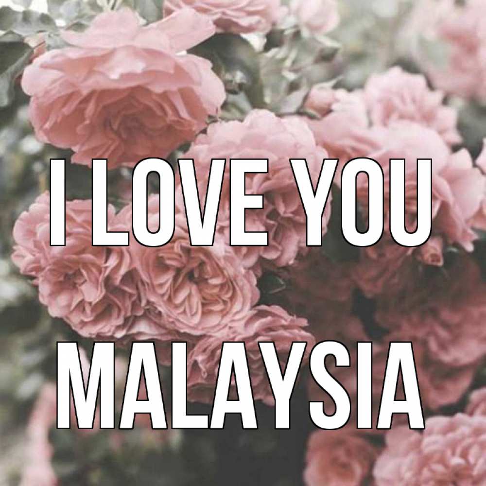 Greetings card с именем, Malaysia I love you розы 3 Greetings with text for free download 