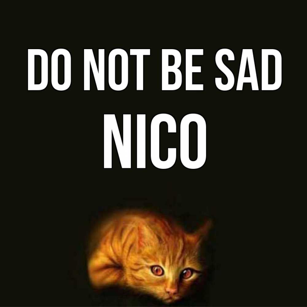 Greetings card с именем, Nico Do not be sad лежащий кот в темноте Greetings with text for free download 