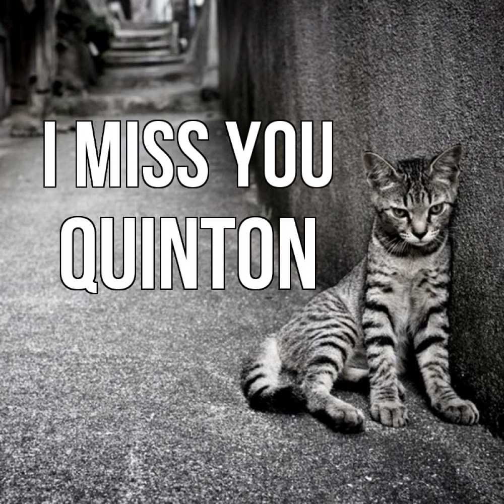 Greetings card с именем, Quinton I miss you одиноко котику Greetings with text for free download 