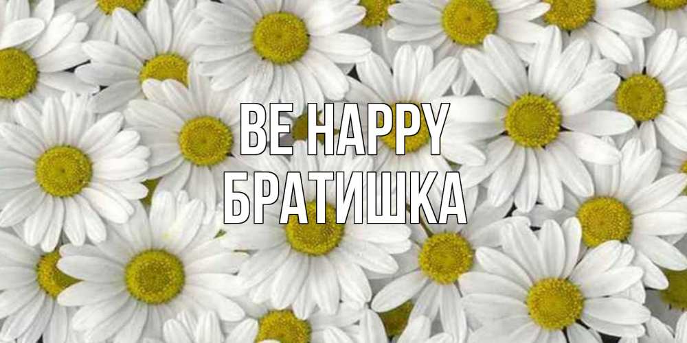 Greetings card с именем, Братишка Be happy поляна ромашек Greetings with text for free download 