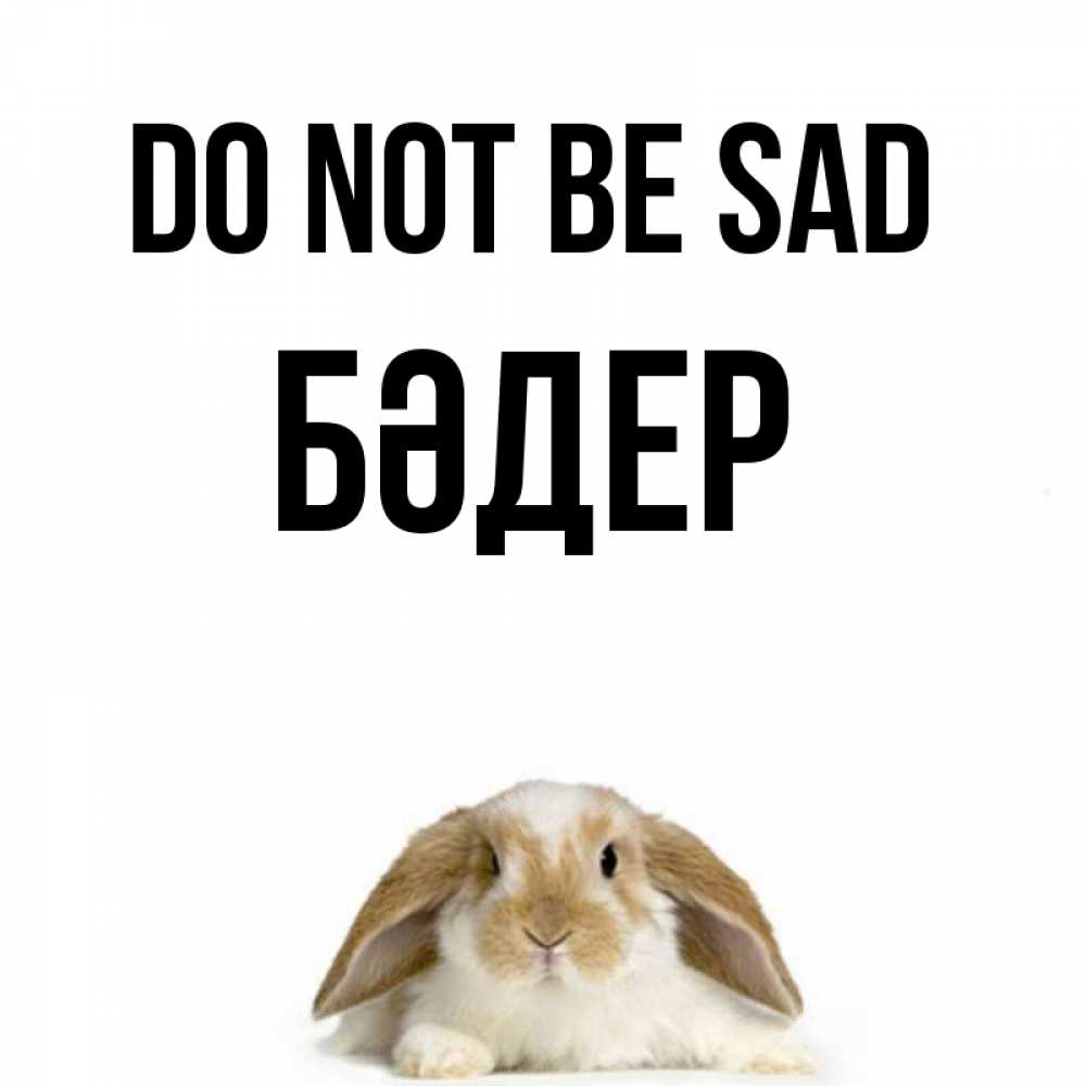 Greetings card с именем, БӘДЕР Do not be sad коричнево белый заяц с большими ушками Greetings with text for free download 