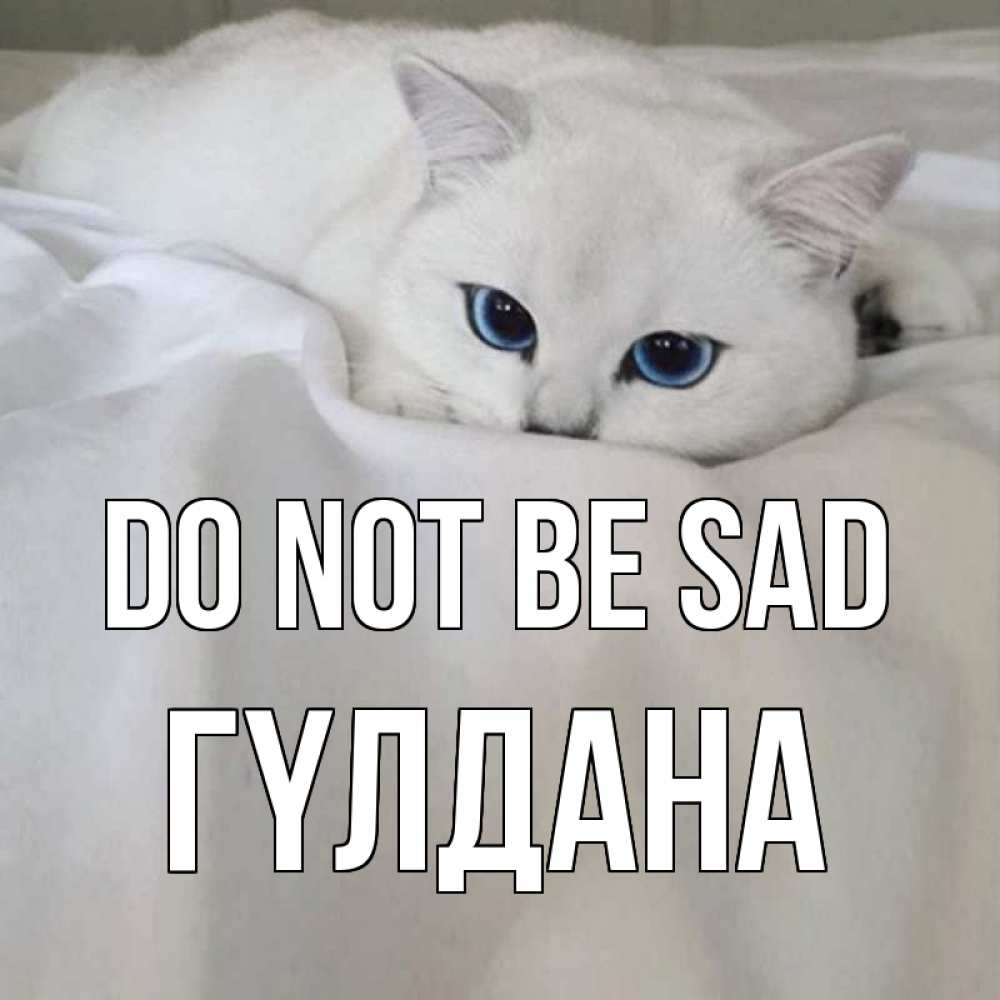 Greetings card с именем, ГҮЛДАНА Do not be sad белый кот с голубыми глазами на белоснежной кровати Greetings with text for free download 