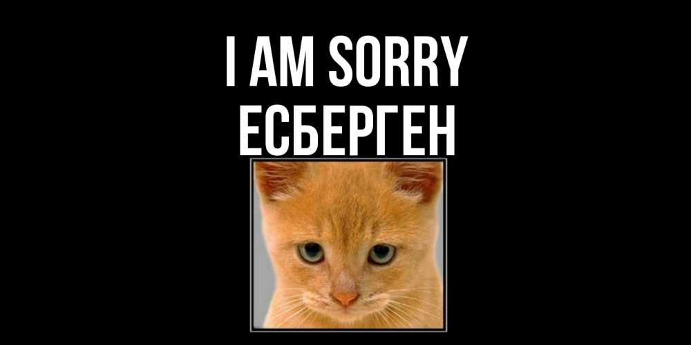 Greetings card с именем, Есберген I am sorry рыжий грустный кот просит прощения Greetings with text for free download 