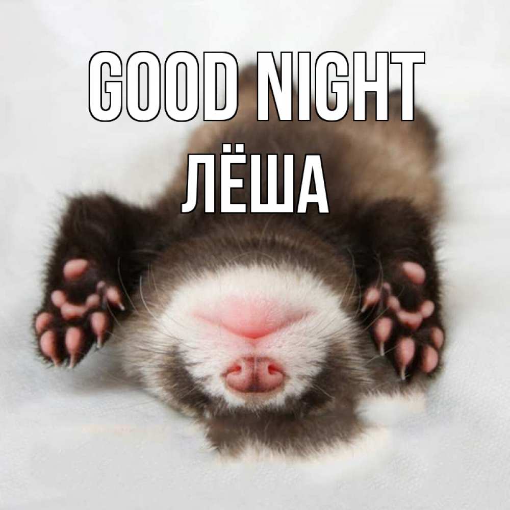 Greetings card с именем, Лёша Good night зверек Greetings with text for free download 