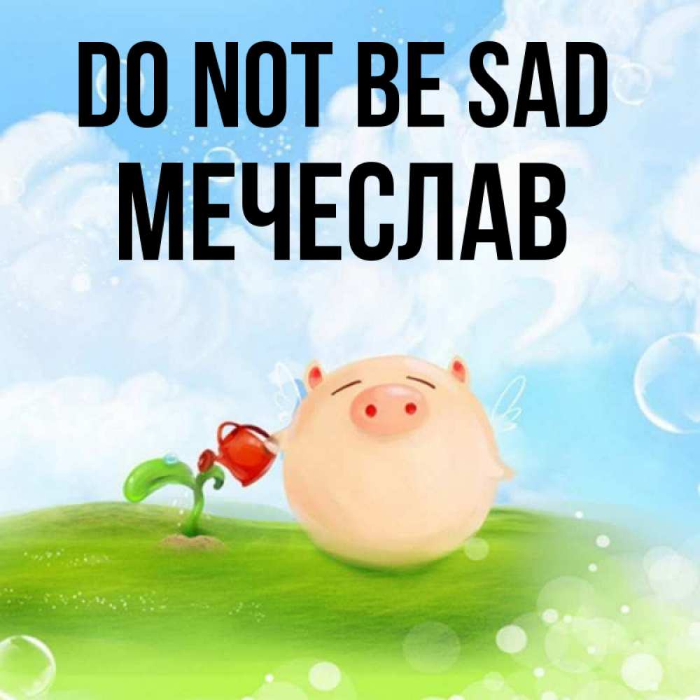 Greetings card с именем, Мечеслав Do not be sad поливает цветок порося Greetings with text for free download 