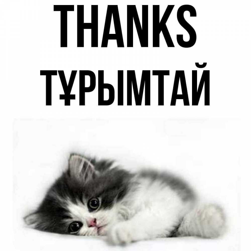 Greetings card с именем, ТҰРЫМТАЙ Thanks черный и белый кот Greetings with text for free download 