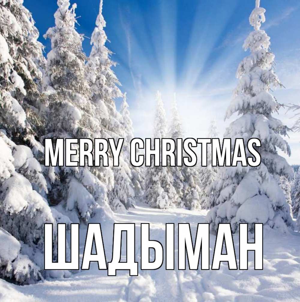 Greetings card с именем, ШАДЫМАН Merry Christmas зима, лес Greetings with text for free download 